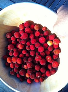 bowl of ripe strawberry tree fruits