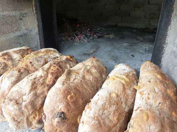 bread loaves