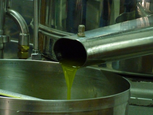 extra virgin Umbria olive oil