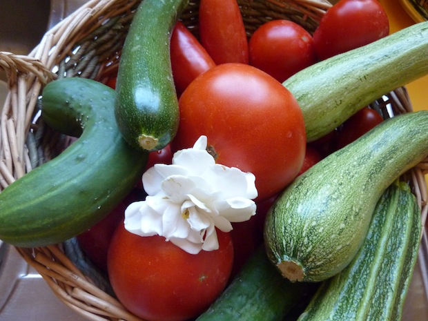 Umbria fresh vegetables from the garden