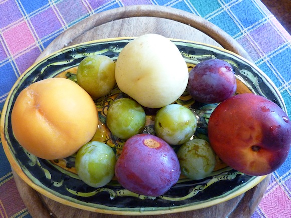 summer fruits in Umbria