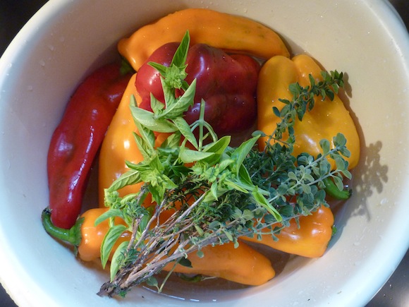 Umbria September bell peppers
