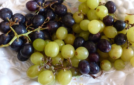 Umbrian September grapes