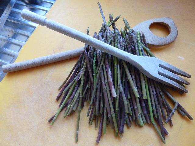 Umbria wild asparagus