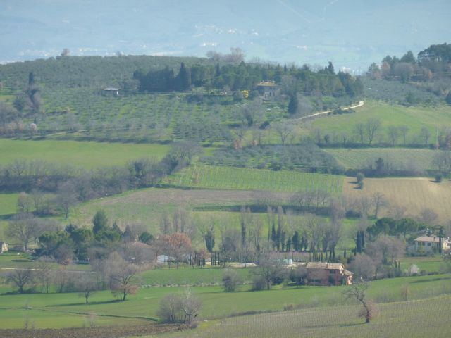 Umbrian spring