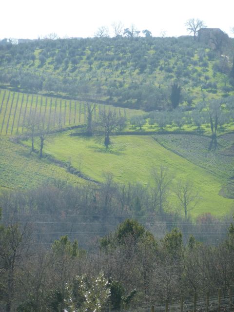Umbrian spring
