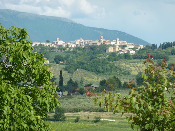 Montefalco as seen from Genius Loci