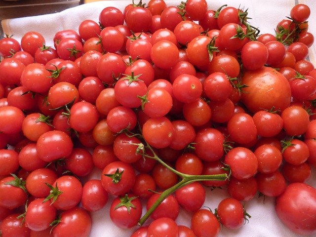 Umbrian summer cherry tomatoes