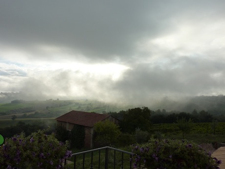 Genius Loci - view of vineyards and mist