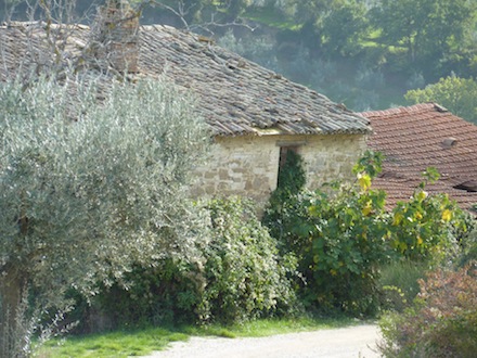 Umbria - farmhouse
