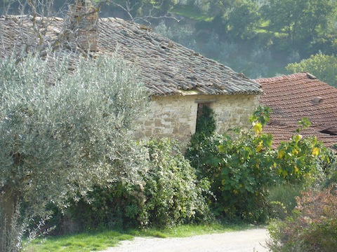 Umbria farmhouses