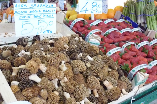 modena market - mushrooms